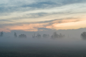 Drzewa we mgle, świt nad doliną Bzury, Pradolina Warszawsko-Berlińska © Piotr Szpakowski