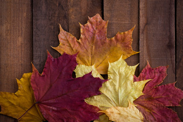 Autumn background with colored leaves on wooden surface