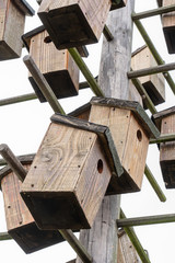 Limited living space