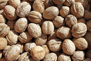 Walnuts with shells. Fresh organic nuts. Walnuts pattern. Nut background texture. Iodine.