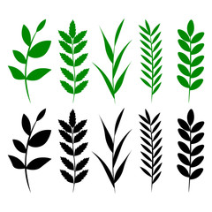 Fototapeta na wymiar Set of leaves and herbs silhouettes, isolated vector illustration.