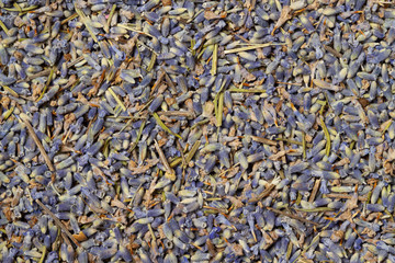 Dried blue little lavender flowers above view background