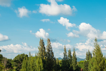 Tropical landscape view of white clouds in blue sky with green trees in winter seasonal.