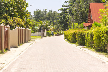 Seychelles. The Small Road To Palm Jungle