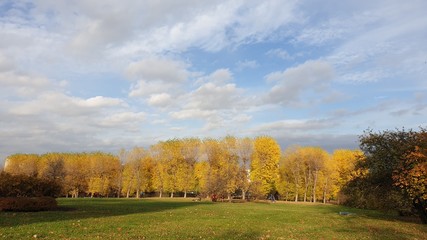 autumn in the park