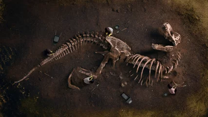 Crédence de cuisine en verre imprimé Chambre de garçon Un fossile de dinosaure (Tyrannosaurus Rex) découvert par des archéologues