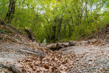 Picturesque forest and mountain views in the vicinity of Gelendzhik.