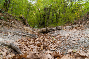 Picturesque forest and mountain views in the vicinity of Gelendzhik.
