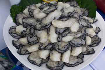 fresh and delicious raw oysters as food background