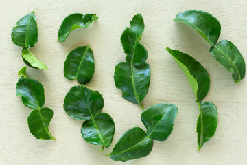 Kaffir lime leaves on white wooden background,