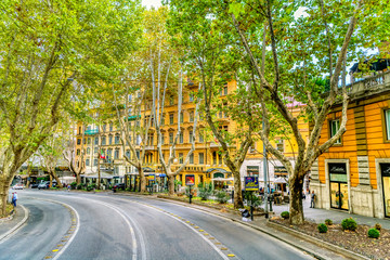 View of a  tree lined street in downtown Rome.