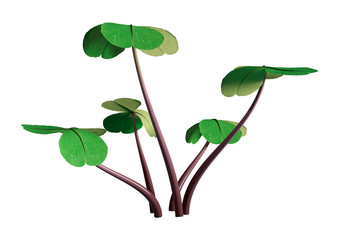 3D Rendering Wood Sorrel Plant on White