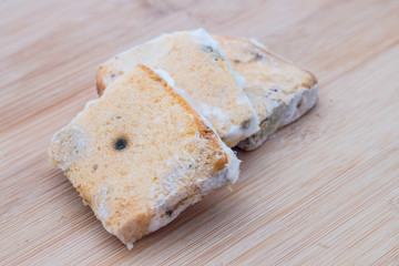 mould on bread