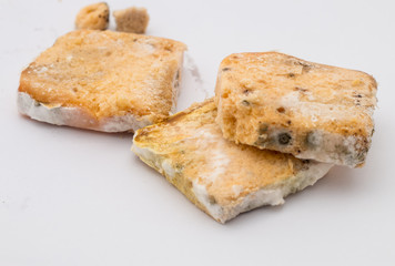 mould on bread 