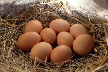 Close-up​ of​ fresh chicken eggs with nest​ in​ the​ wood​en​ box, A pile of brown eggs in a nest.