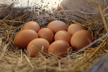 Close-up​ of​ fresh chicken eggs with nest​ in​ the​ wood​en​ box, A pile of brown eggs in a nest.