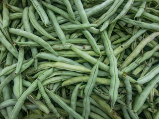 Green beans vegetable, provider bean