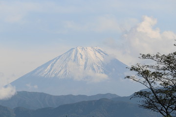 Fototapeta premium 富士山