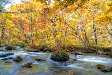 See the beautiful waterfall in Oirase gorge in autumn, Tohoku, Aomori - 298637535