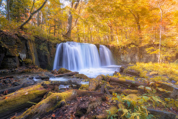 See the beautiful waterfall in Oirase gorge in autumn, Tohoku, Aomori - 298637727