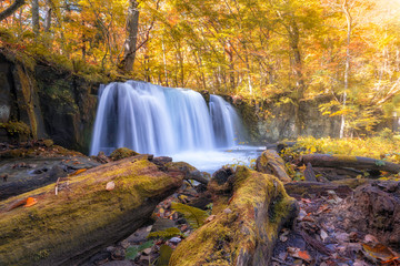 See the beautiful waterfall in Oirase gorge in autumn, Tohoku, Aomori