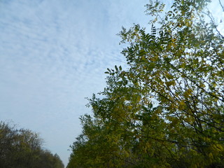 небо