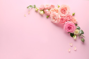 Beautiful fresh roses on color background