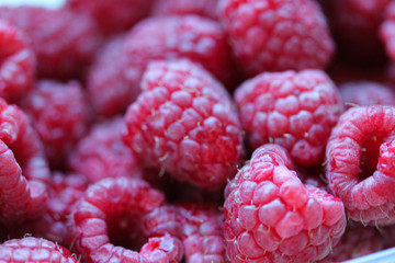 Background with fresh raspberry closeup. Raspberry macro photography with copy space. Healthy organic berries of bright red color. Template for banner, menu, food label, organic shop, garden