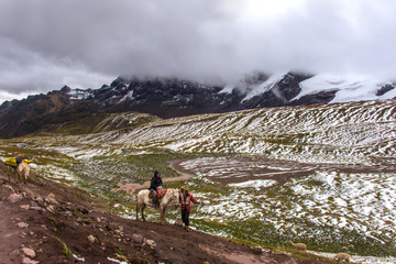 Fototapeta na wymiar Horse driver and tourist are going to the Rainbow Mountains (Peru)