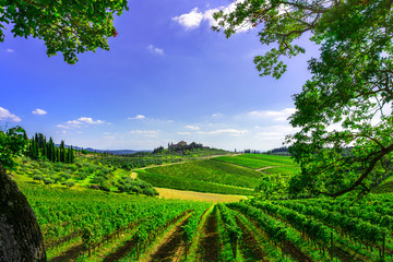 Fototapeta na wymiar Radda in Chianti vineyard and panorama at sunset. Tuscany, Italy