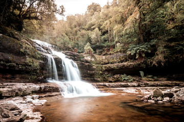 Obraz premium Bush hike past waterfalls and through the jungles of Tasmania, Australia's largest island with a fascinating natural environment. Perfect for those who love the landscapes and wildlife, as well as the