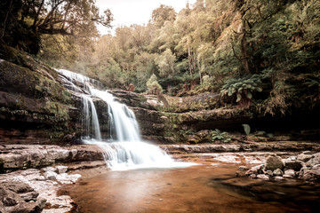 Bush hike past waterfalls and through the jungles of Tasmania, Australia's largest island with a fascinating natural environment. Perfect for those who love the landscapes and wildlife, as well as the