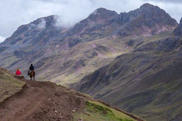 Fototapeta premium Horse driver and tourist are going to the Rainbow Mountains (Peru)