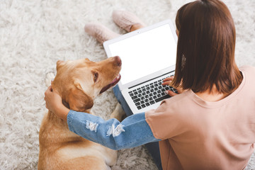 Beautiful young woman with cute dog using laptop at home