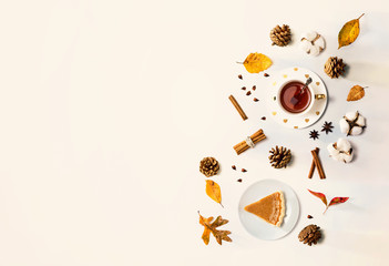 Pumpkin pie with cinnamon tea - flat lay