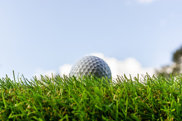 Golf ball on the green,Green grass with golf ball close-up in soft focus at sunlight. Sport playground for golf club concept - wide landscape as background for your lettering about golf playing.
