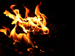 fire_0516