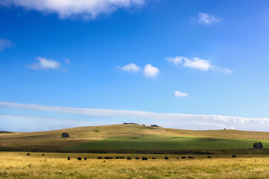 Australian farm landscape with blue sky
