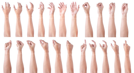 GROUP of Male asian hand gestures isolated over the white background. Soft Grab and Touch Action.