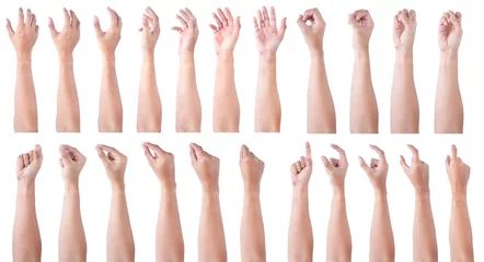 Fotobehang GROUP of Male asian hand gestures isolated over the white background. Soft Grab and Touch Action. © aekkorn