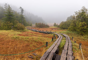 志賀高原四十八湖草紅葉
