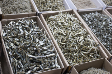 Fish anchovy on market store.
