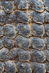 Old round brown carpet texture background, Pattern polka dot Close up shot, Living room and bathroom concept