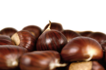Obraz premium Sweet edible chestnuts isolated on white background