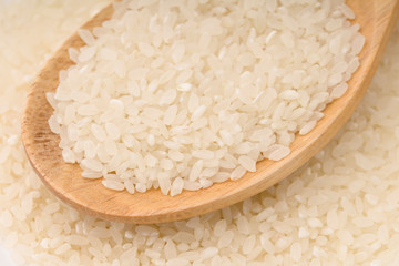 Rise with a wooden spoon on white background. selective focus 