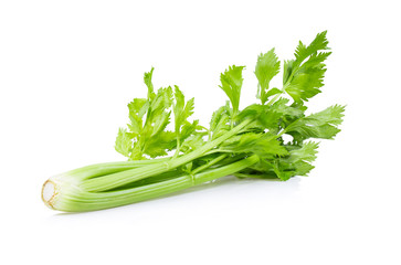 Fresh celery isolated on white background