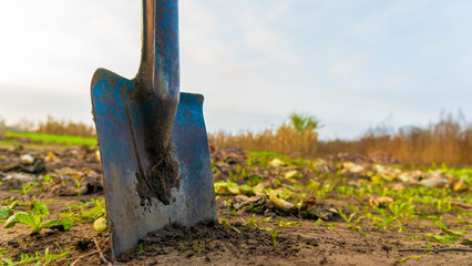 a shovel digging ground close-up