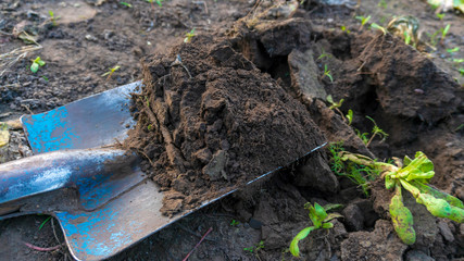 a shovel digging ground close-up