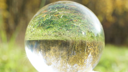 Nature Video Scenario scene close up in crystal ball with backgorund of colorful maple leaf and other yellow leaves from the trees, forest scenery, autumn mood in a park
