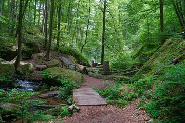 Obraz premium Waldweg